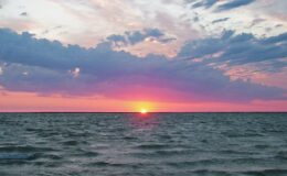 ARAL GÖLÜ CANLANDIRILIYOR