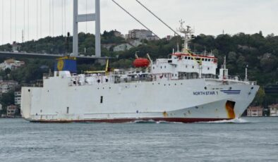 Türkiye’ye gelecek hayvanlar az daha yanıyordu.